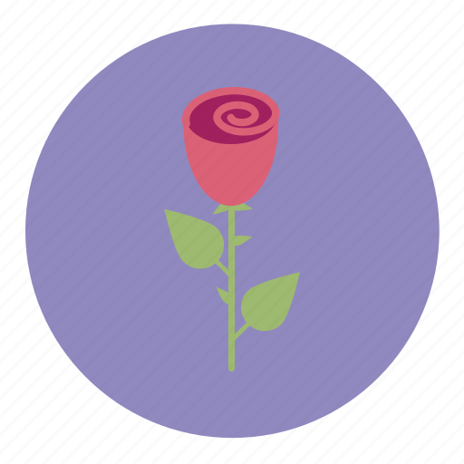 Flower, nature, plant, romantic, rose, valentine, wedding icon - Download on Iconfinder