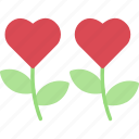 flower, love, nature, plant, rose, valentine, day