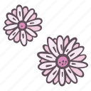 pair, pink, chamomile, flower, decorations, ornaments