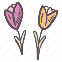 pair, tulip, flower, decorations, blossom, floral