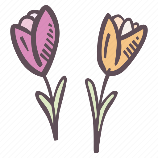 Pair, tulip, flower, decorations, blossom, floral icon - Download on Iconfinder