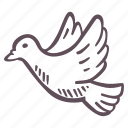 white, dove, flight