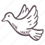 white, dove, flight 