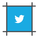 hasgtag, social, tweet, twitter, twitter bird