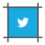 hasgtag, social, tweet, twitter, twitter bird 