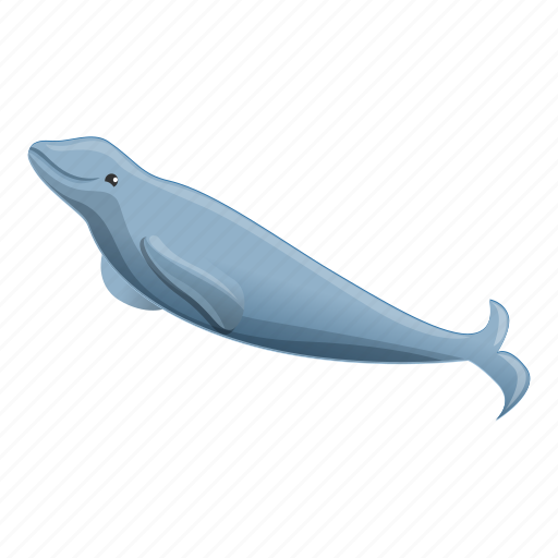 Animal, baleen, birthday, blue, minke, whale icon - Download on Iconfinder