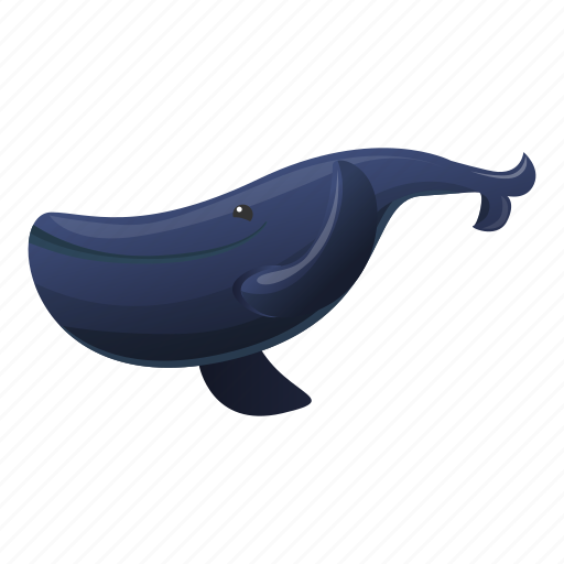 Big, humpback, life, marine, ocean, whale icon - Download on Iconfinder