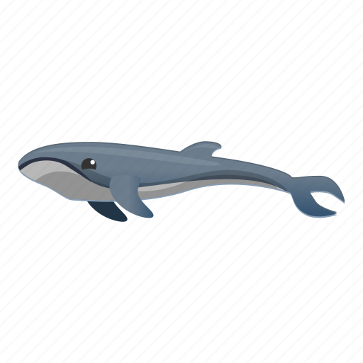 Blue, marine, whale, blue whale, sea creature icon - Download on Iconfinder