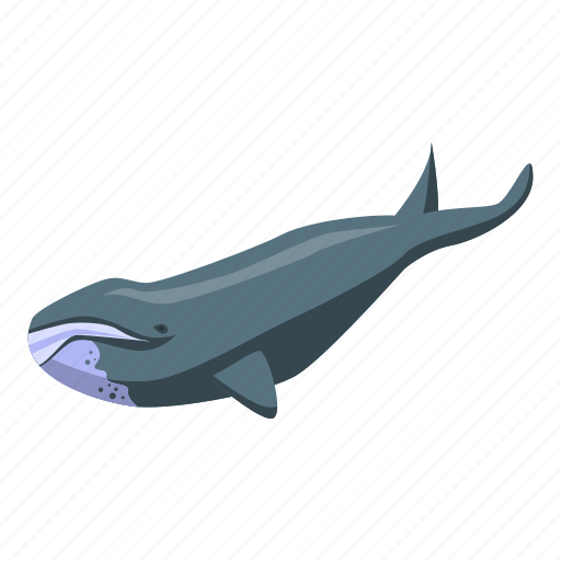 Cartoon, isometric, logo, north, silhouette, water, whale icon - Download on Iconfinder
