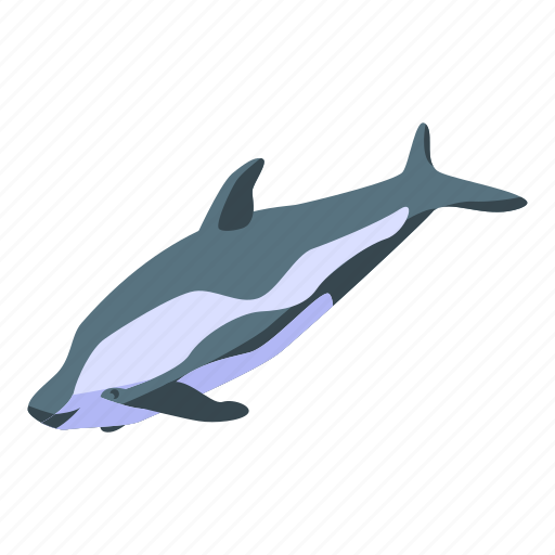 Arctic, baby, cartoon, computer, isometric, water, whale icon - Download on Iconfinder