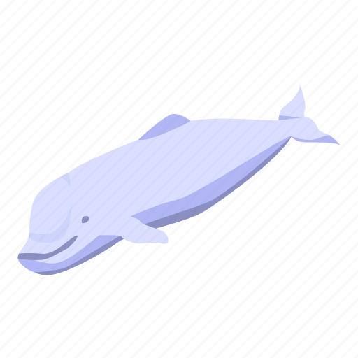 Cartoon, isometric, love, tattoo, water, whale, white icon - Download on Iconfinder