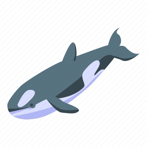 Animal, cartoon, isometric, nature, orca, water, whale icon - Download on Iconfinder