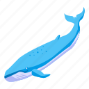 cartoon, hand, isometric, logo, sea, water, whale
