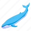 cartoon, hand, isometric, logo, sea, water, whale 
