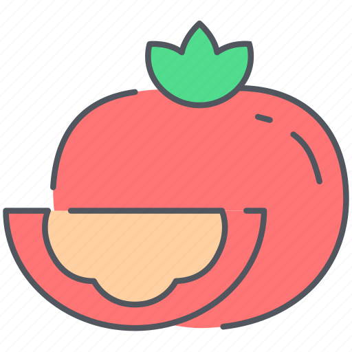 Tomato, food, healthy, kitchen, organic, vegan, vegetable icon - Download on Iconfinder