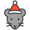 animal, christmas hat, rat, wild, xmas