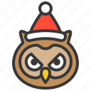 animal, christmas hat, owl, wild, xmas
