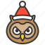 animal, christmas hat, owl, wild, xmas 