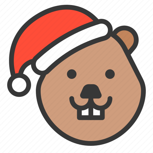 Animal, beaver, christmas hat, wild, xmas icon - Download on Iconfinder