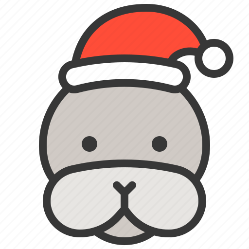 Animal, arctic, christmas hat, seal, wild, xmas icon - Download on Iconfinder