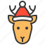 animal, christmas hat, deer, reindeer, wild, xmas 