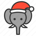 animal, christmas hat, elephant, wild, xmas, zoo