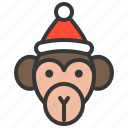 animal, christmas hat, monkey, wild, xmas, zoo