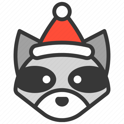 Animal, christmas hat, raccoon, wild, xmas icon - Download on Iconfinder