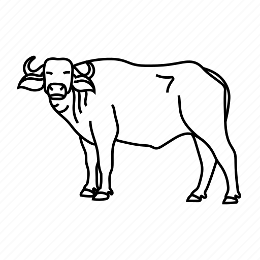 Wild, animals, buffalo, animal, wildlife, zoo icon - Download on Iconfinder