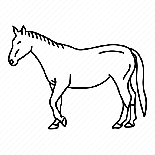 Wild, animals, horse, animal, wildlife, zoo icon - Download on Iconfinder