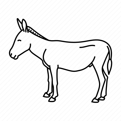 Wild, animals, donkey, animal, wildlife, zoo icon - Download on Iconfinder