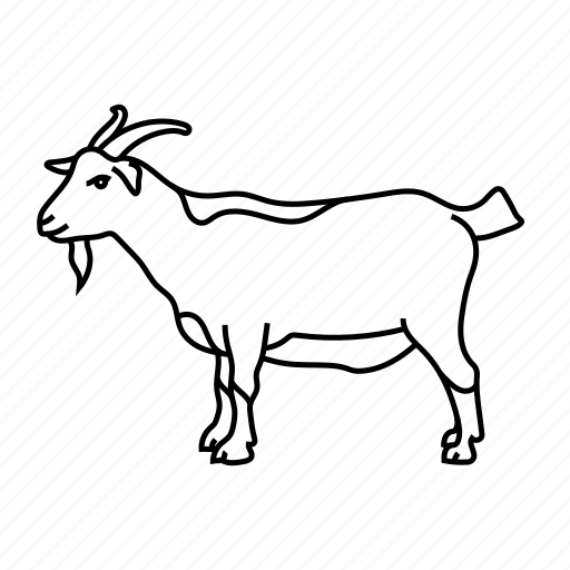 Wild, animals, goat, animal, wildlife, zoo icon - Download on Iconfinder