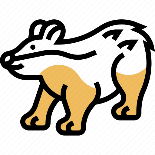 Badger, wildlife, animal, park, forest icon - Download on Iconfinder