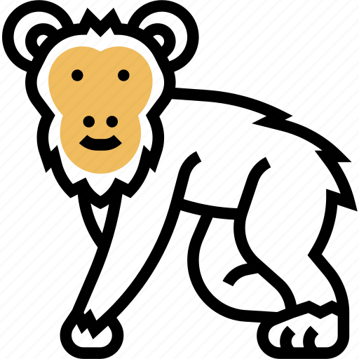 Chimpanzee, monkey, primate, animal, wild icon - Download on Iconfinder
