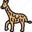 giraffe, safari, animal, zoo, africa 