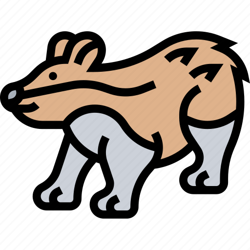 Badger, wildlife, animal, park, forest icon - Download on Iconfinder