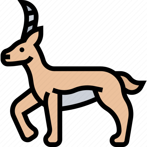 Antelope, impala, safari, savanna, wildlife icon - Download on Iconfinder