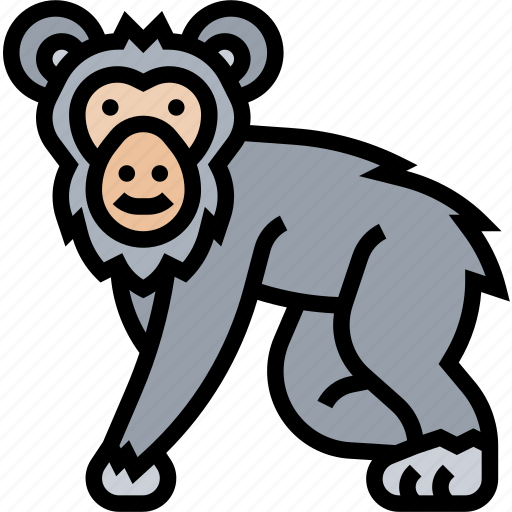 Chimpanzee, monkey, primate, animal, wild icon - Download on Iconfinder