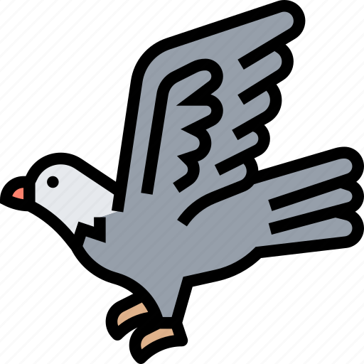 Eagle, bald, bird, hunter, predator icon - Download on Iconfinder