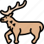 elk, antler, wildlife, mammal, animal 