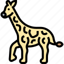 giraffe, safari, animal, zoo, africa