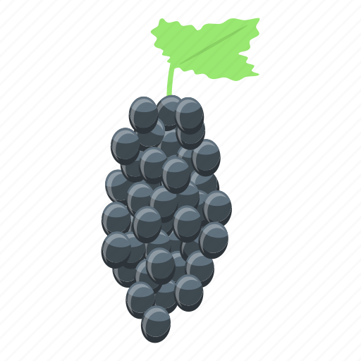 Cartoon, food, fruit, grapes, isometric, nature, wine icon - Download on Iconfinder
