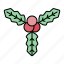 winter, ornament, mistletoe, plant 
