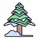 winter, tree, pine, snow
