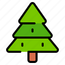 pine tree, tree, pines, woods, forest, woodland, snow, decoration, winter