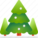 pine, tree, forest, christmas tree
