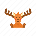 - moose, animal, reindeer, deer, wildlife, head, christmas, rudolf