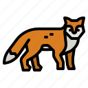 fox, animal, animals, zoo, wildlife