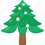 pine tree, palm tree, tree, winter 
