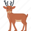 reindeer, animal, winter, christmas 